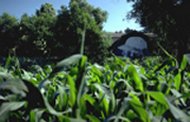 Un job dans secteur bio