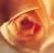 <A href=news-archiveFr.asp>actualit� du bio</A>