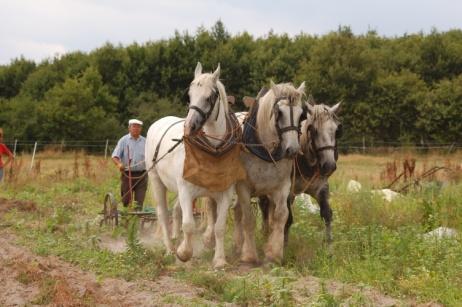 La ferme de Sainte Marthe d�veloppe le mara�chage �thique